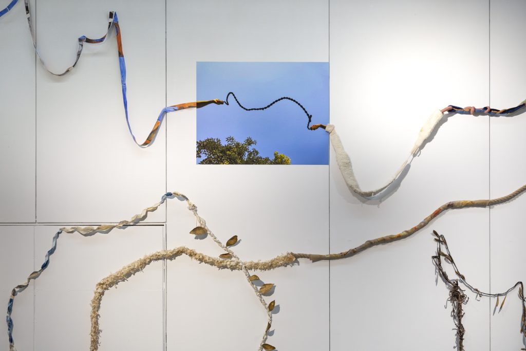 La Cuerda Infinita en Bodegón Cultural Los Vilos. Detalle de la instalación La Cuerda Infinita en Bodegón Cultural Los Vilos. Detalle de la instalación